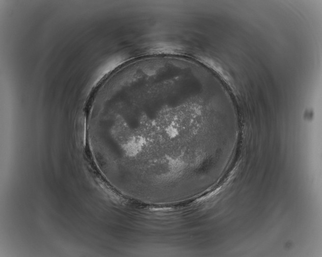 X0000097461219200802291228