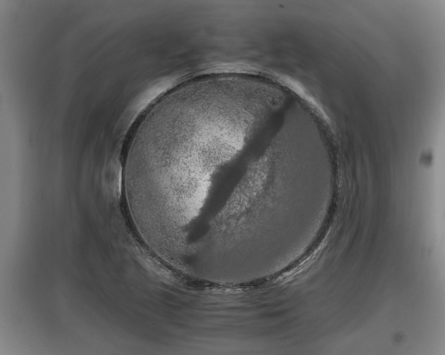 X0000097461221200802291228