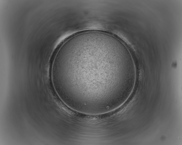 X0000097461222200802291228