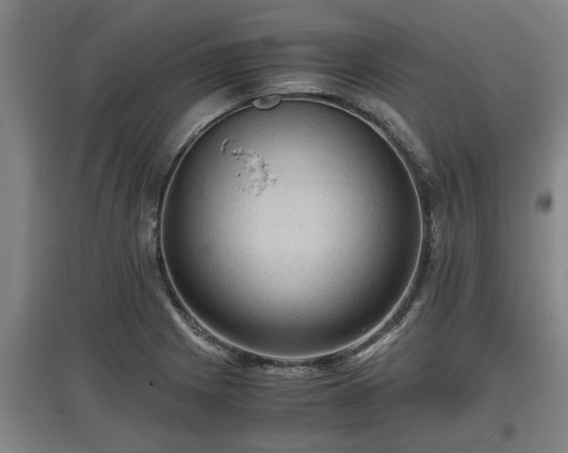 X0000097461225200802291228