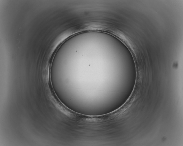 X0000097461227200802291228