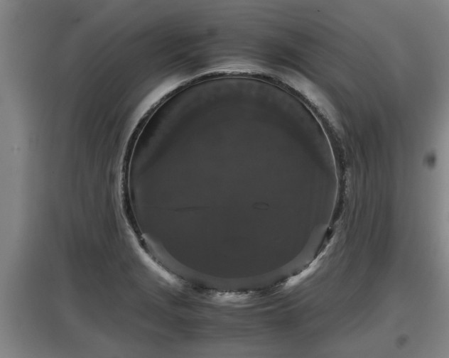 X0000097461229200802291228