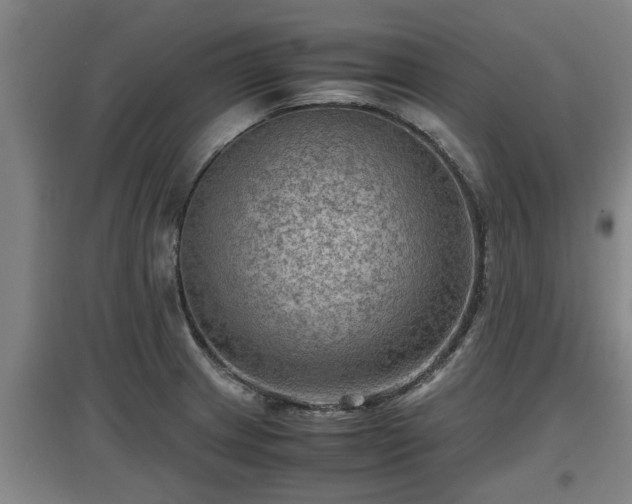 X0000097461233200802291228