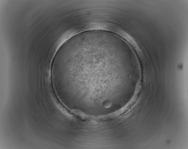 X0000097461234200802291228