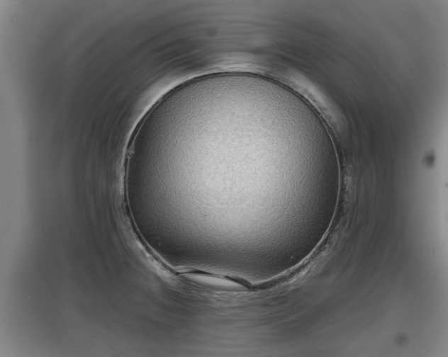 X0000097461236200802291228