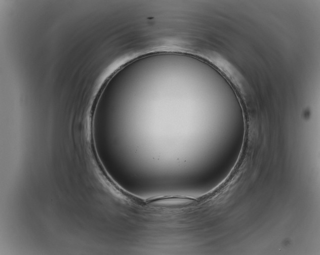 X0000097461238200802291228