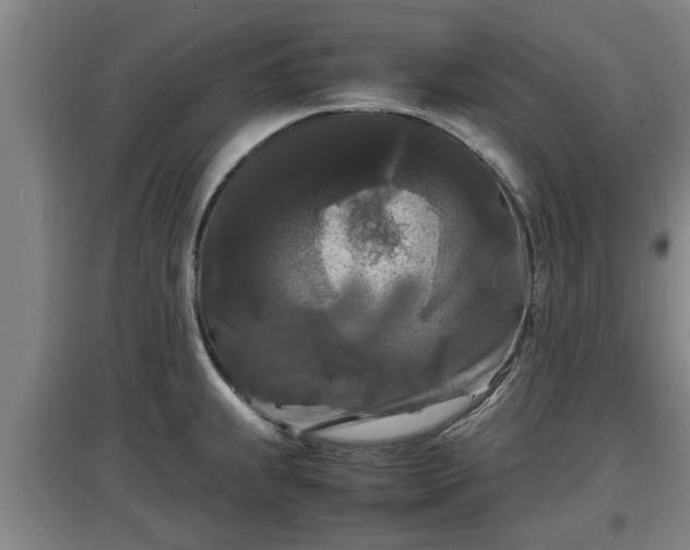 X0000097461239200802291229