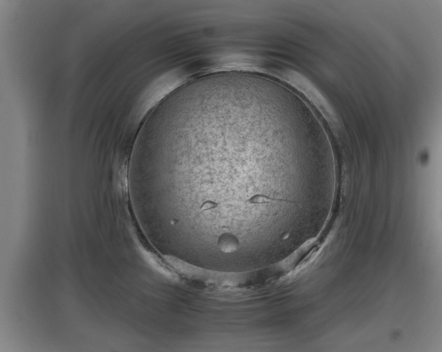 X0000097461241200802291229