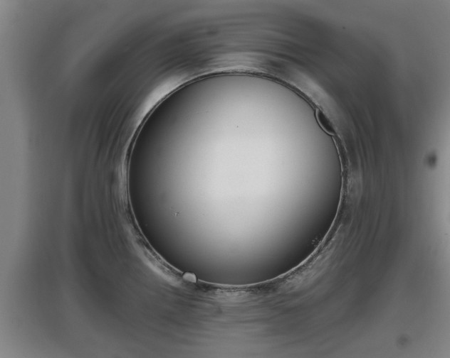 X0000097461242200802291229