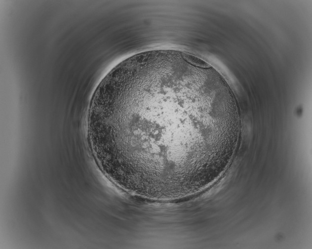 X0000097461244200802291229