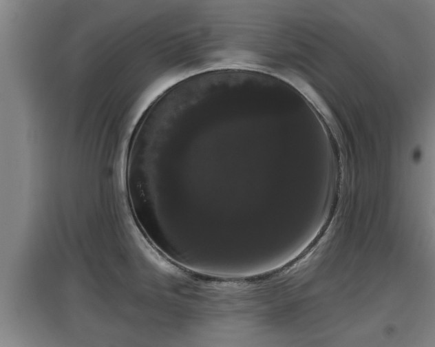 X0000097461246200802291229