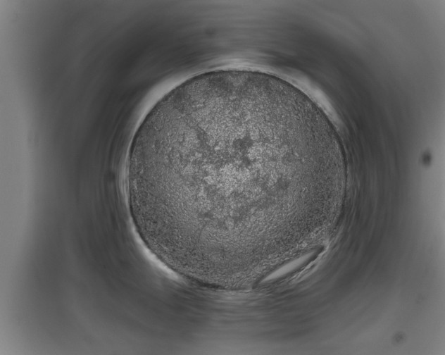 X0000097461247200802291229