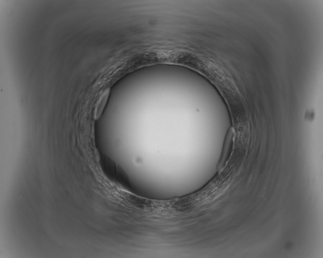 X0000097461249200802291228