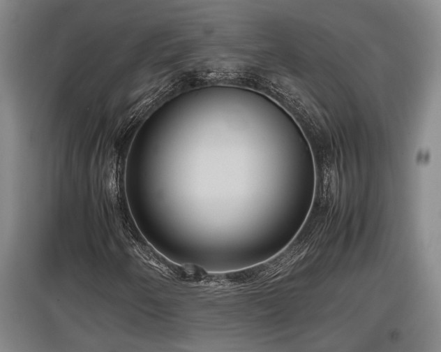 X0000097461250200802291228