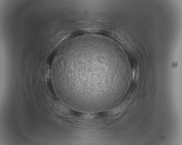 X0000097461251200802291228