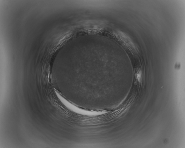 X0000097461252200802291228