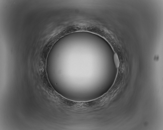 X0000097461253200802291228