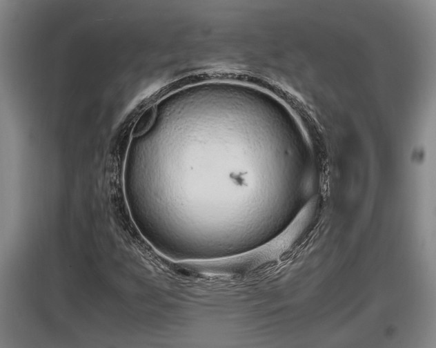 X0000097461255200802291228