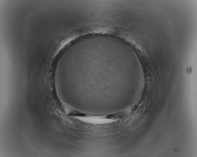 X0000097461256200802291228