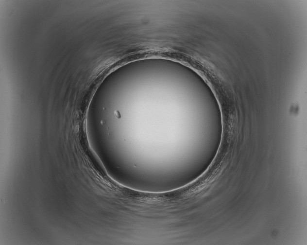 X0000097461257200802291228