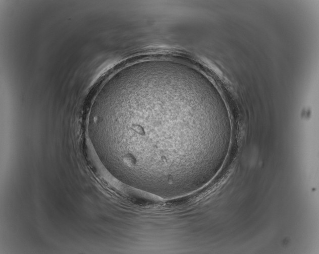 X0000097461259200802291228