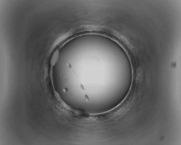 X0000097461261200802291228