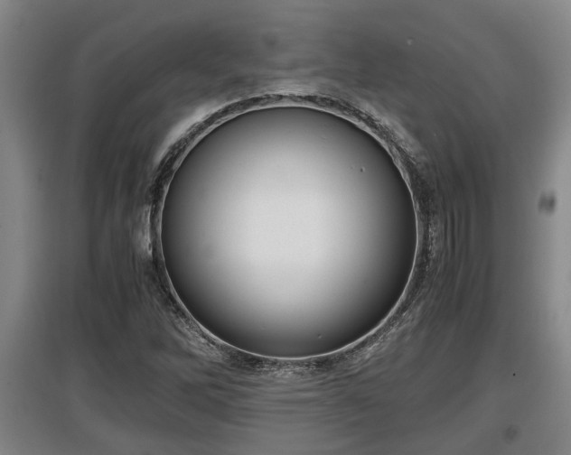 X0000097461262200802291228