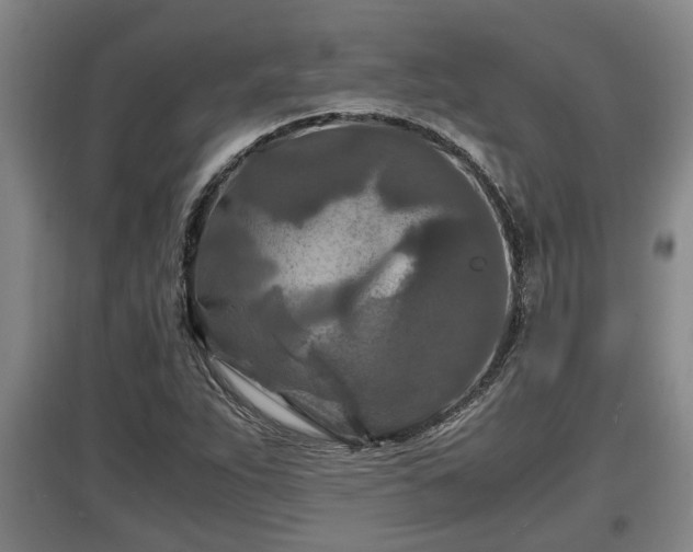 X0000097461263200802291228