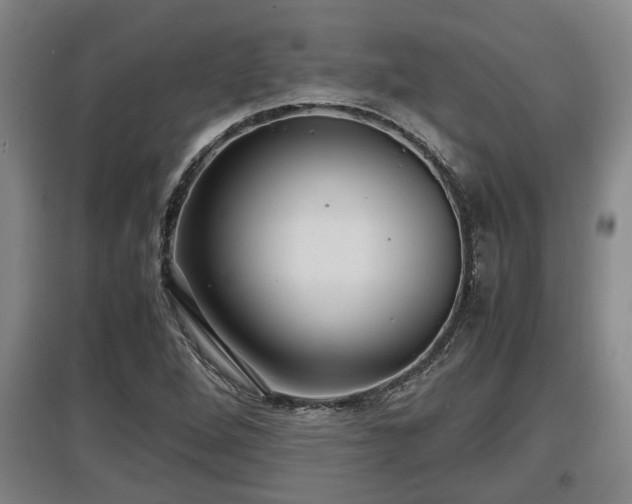 X0000097461264200802291228