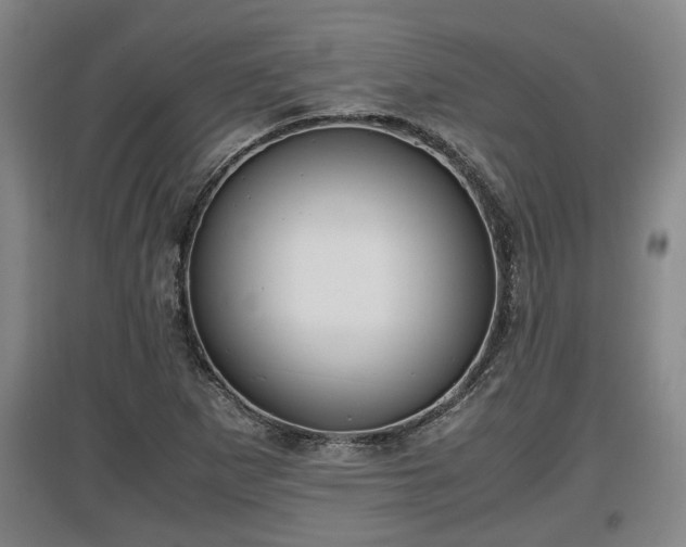 X0000097461265200802291228