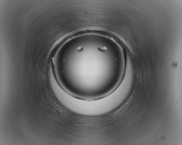 X0000097461266200802291228