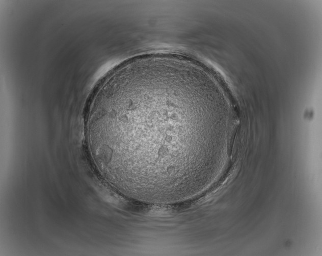 X0000097461267200802291228