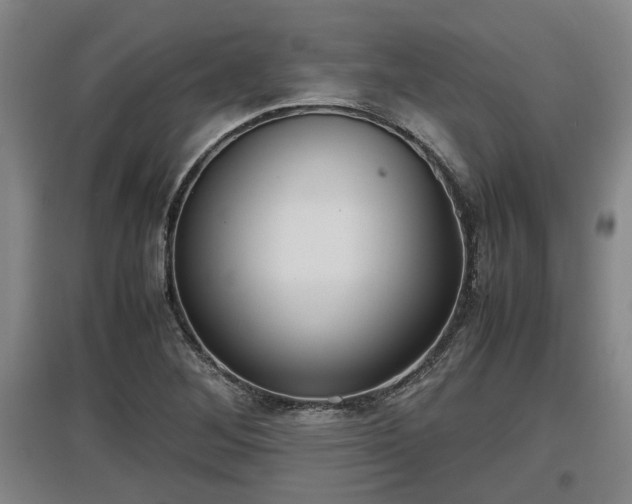 X0000097461268200802291228