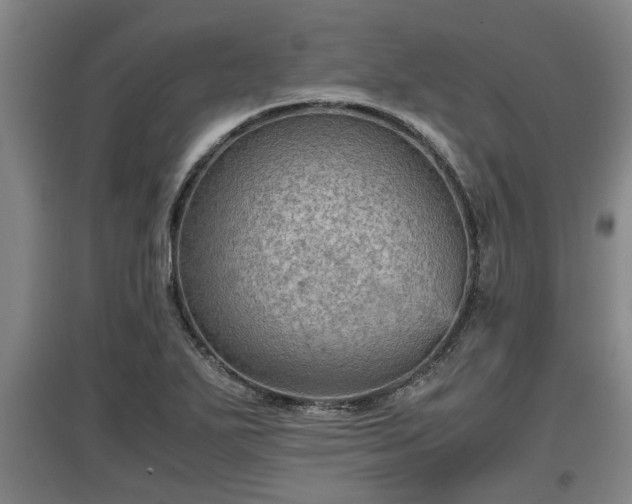 X0000097461271200802291228