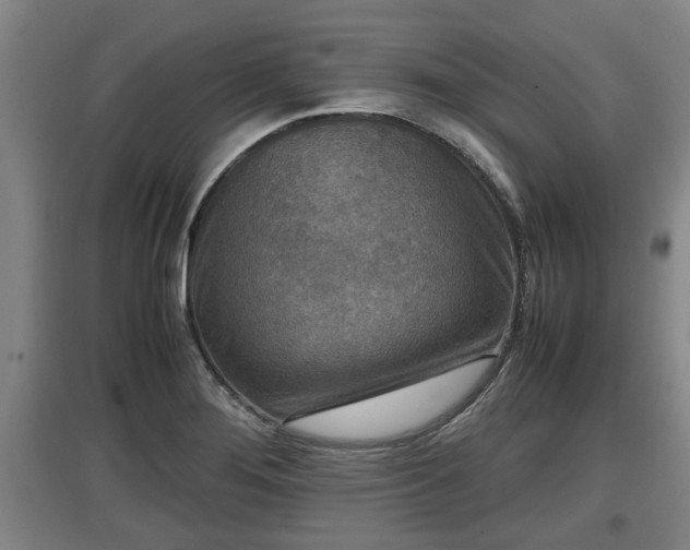 X0000097461276200802291228