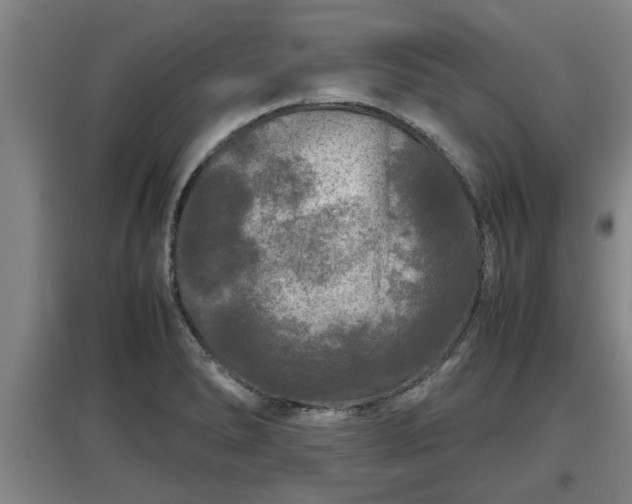 X0000097461278200802291228