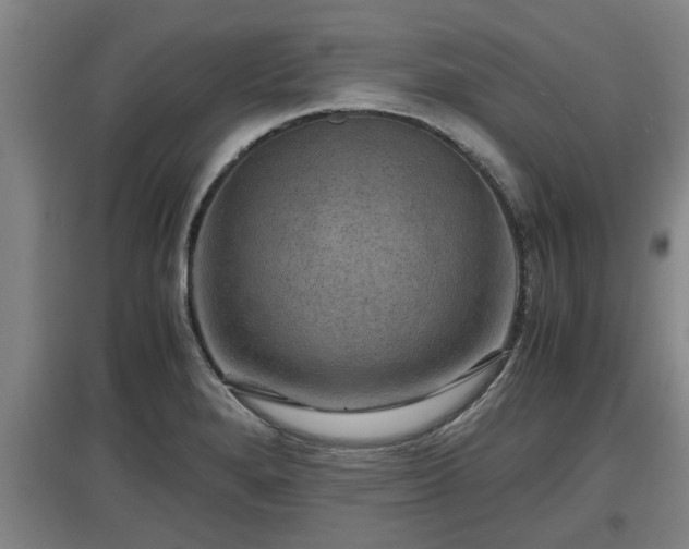 X0000097461280200802291227