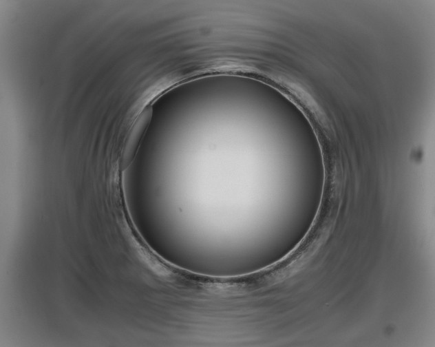 X0000097461281200802291227