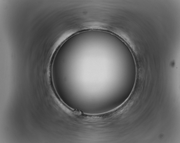 X0000097461285200802291227