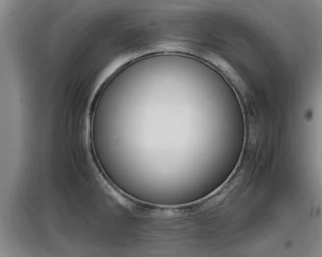 X0000097461286200802291227