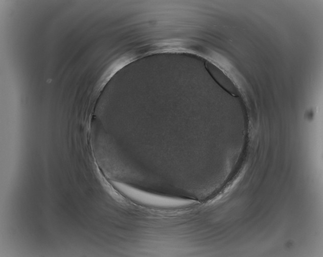 X0000097461289200802291227