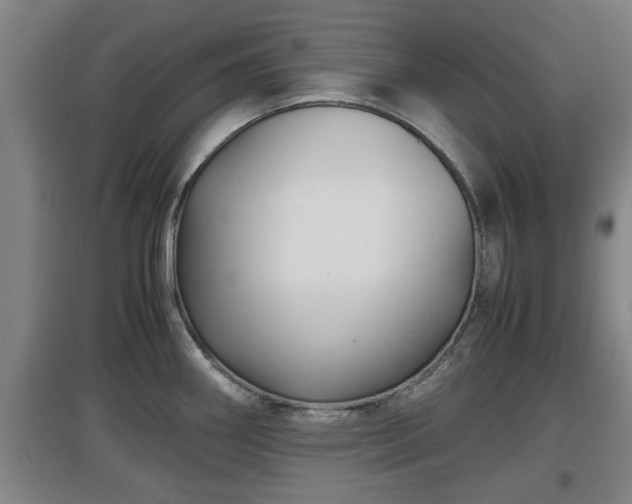 X0000097461290200802291227