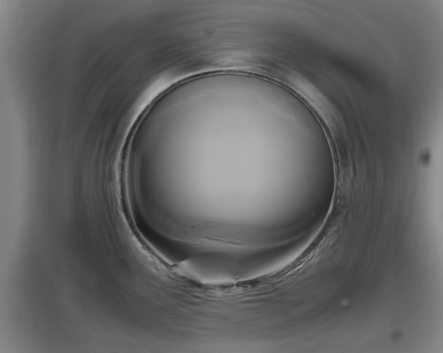 X0000097461291200802291227