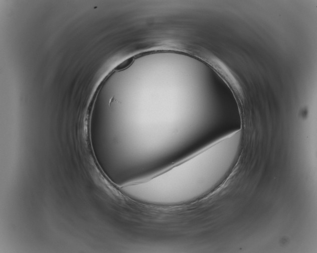 X0000097461292200802291227