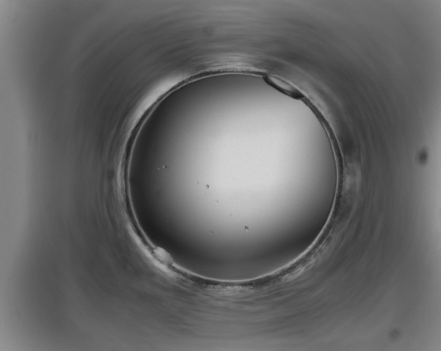 X0000097461293200802291227