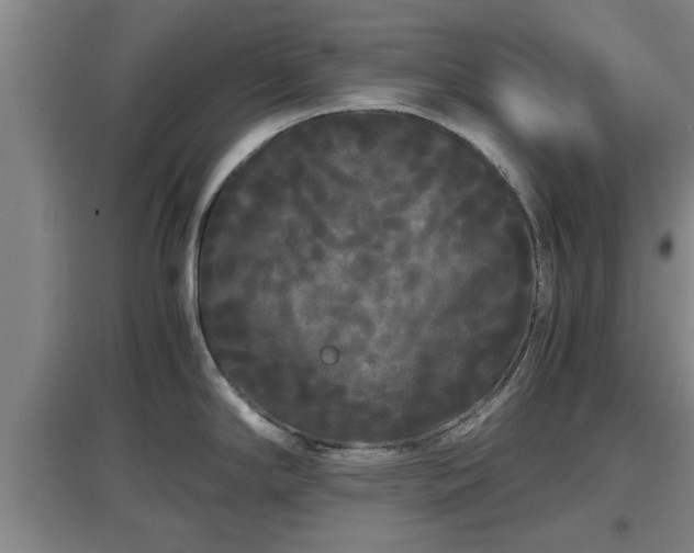 X0000097461294200802291227