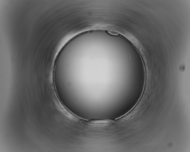 X0000097461296200802291227