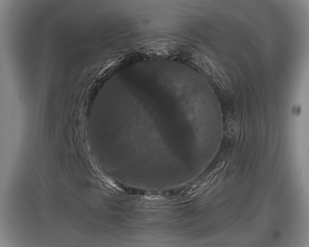 X0000097461297200802291227