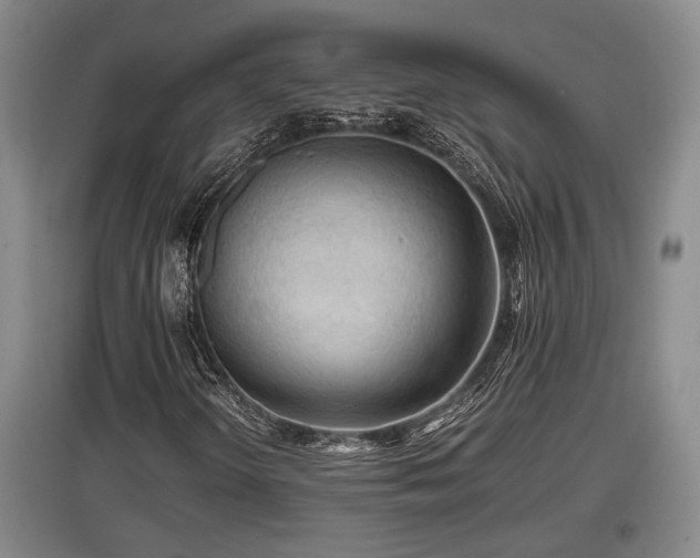 X0000097461298200802291227