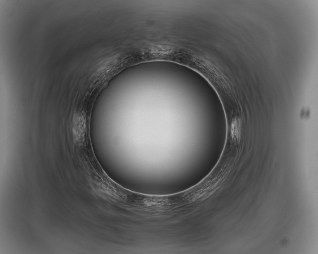 X0000097461299200802291227